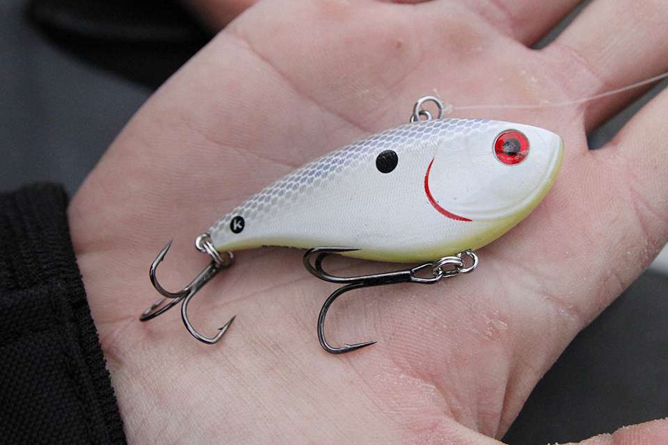 One was a 1/2-ounce Booyah One Knocker Lipless Crankbait in Bling color.