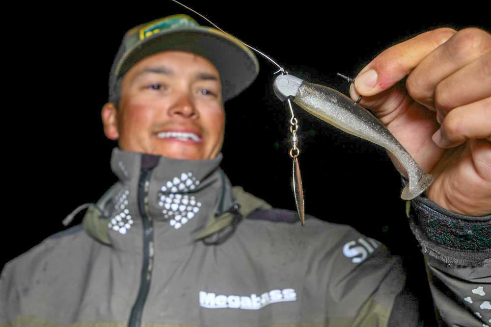 For active fish in suspended timber he used a 4.2-inch Megabass Hazedong Shad on a 1/2-ounce Santone Lures Z Spin Head. 
