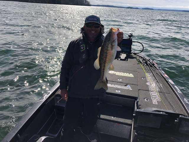 Tacoronte with a nice upgrade.