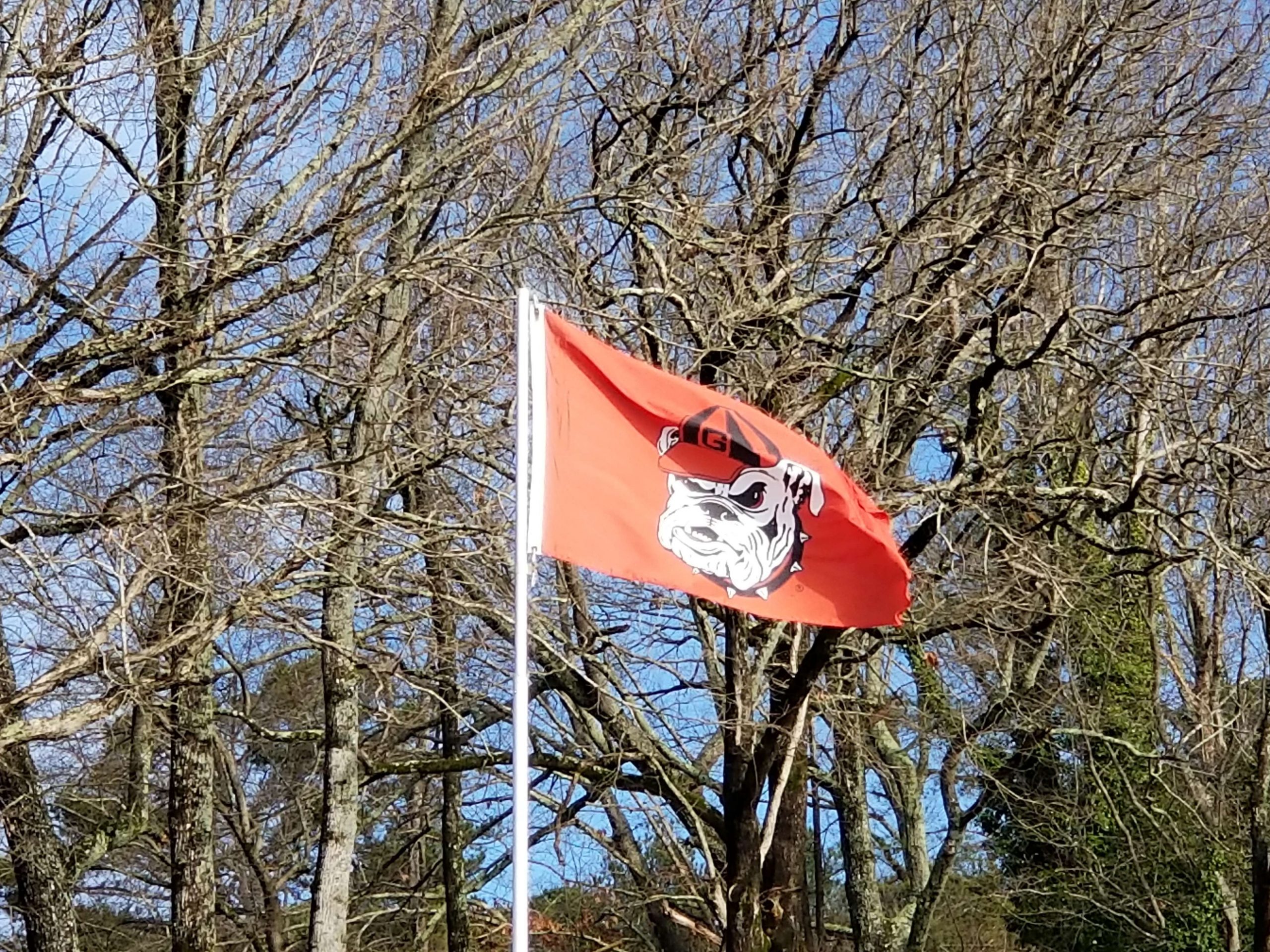 Welcome to Georgia, home of the Bulldogs. 