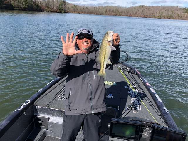 Tacorante with a limit.