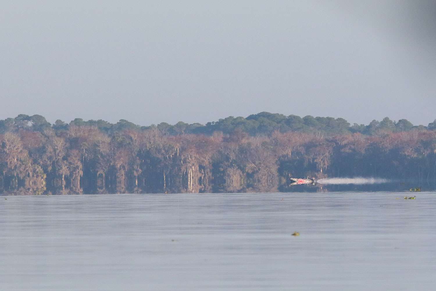 Check out some early action from Lake George at the 2019 Power-Pole Bassmaster Elite at St. Johns River.