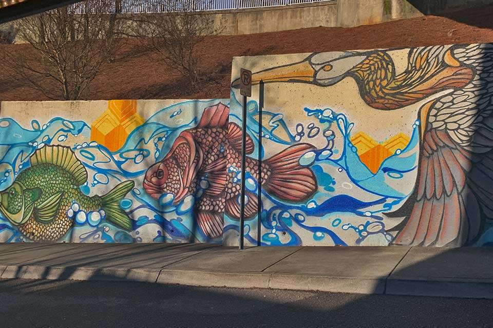 Knoxville has hills, folks. Be prepared. And art. This mural back up Volunteer Landing Lane depicts one of the best natural anglers doing what he does.