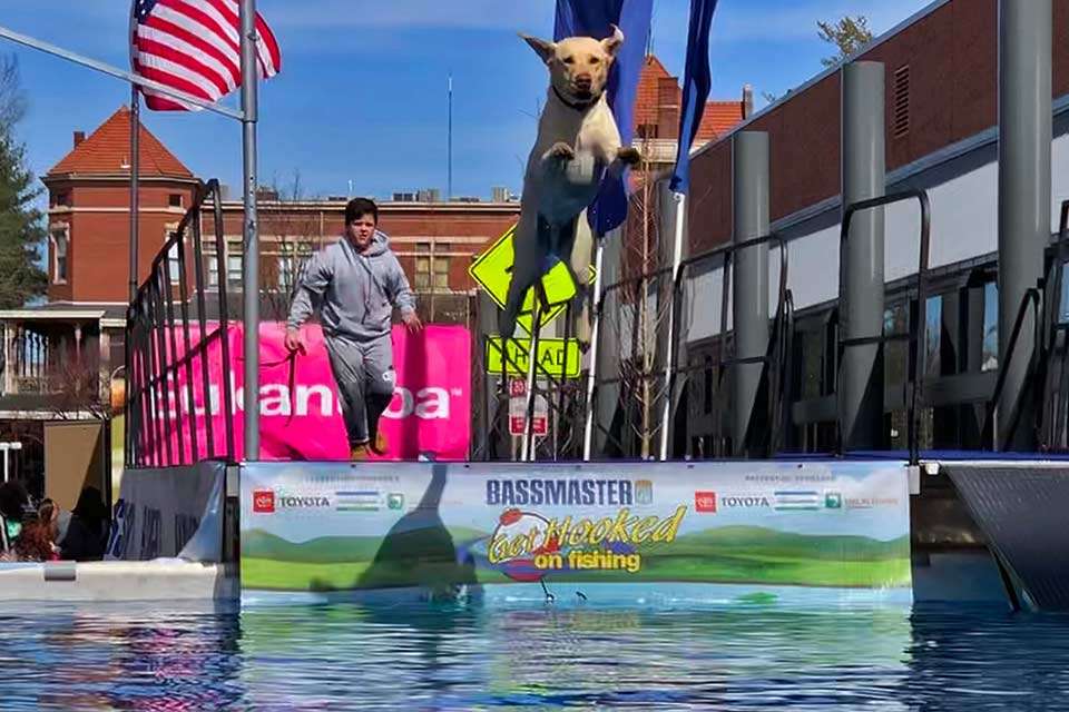 The Expo had plenty of things to see. In front of the Exhibition Hall, Dock Dogs excited fans with their leaps into the pool.