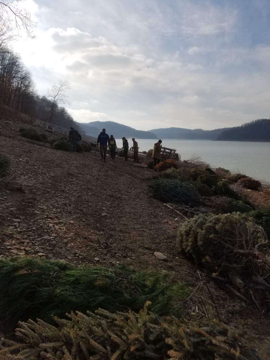 The trees are then repurposed and installed as fish habitat in Tygart Lake. 
