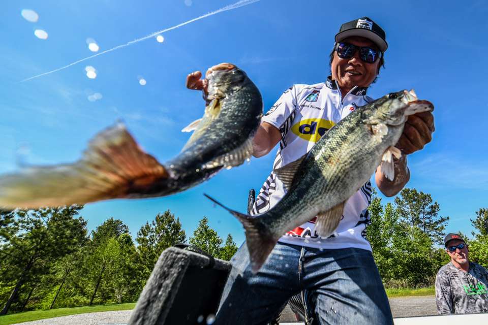 You had to go through the numbers to catch weigh-in worthy spotted bass like these, caught by Kenta Kimura, at the Basspro.com Bassmaster Central Open on Lewis Smith Lake. That made finding the elusive kicker largemouth the goal. 

All captions: Craig Lamb
