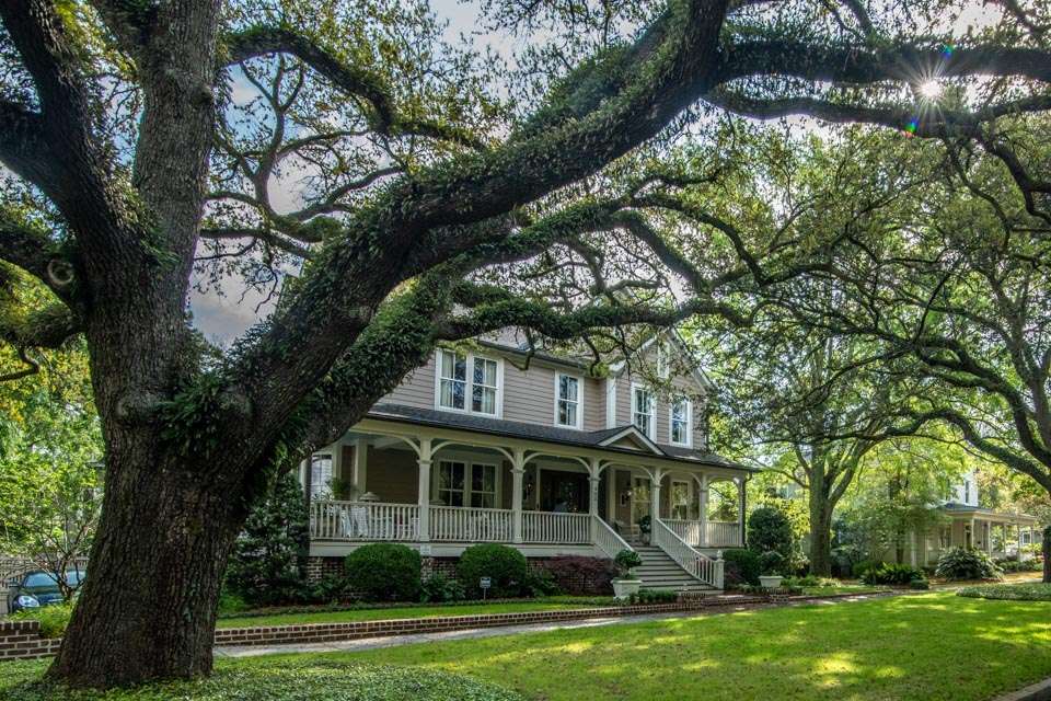 Beautiful, sweeping live oaks everywhere in Georgetown, making it a perfect place for a stroll. 
