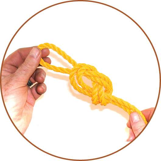 Tie a small, figure-eight loop knot for the carabiner. 