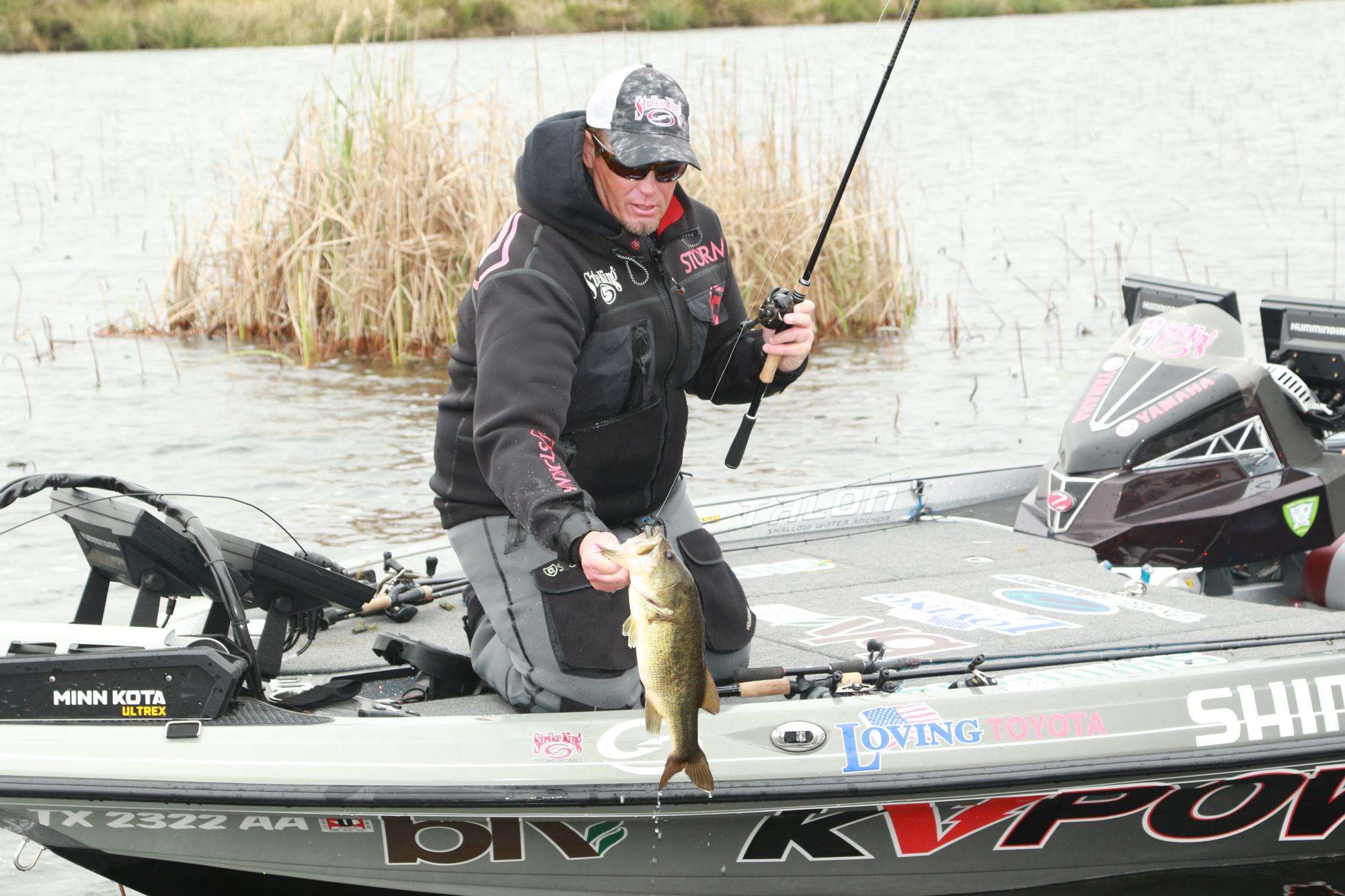 Largemouth bass are suckers for a well-place jig.