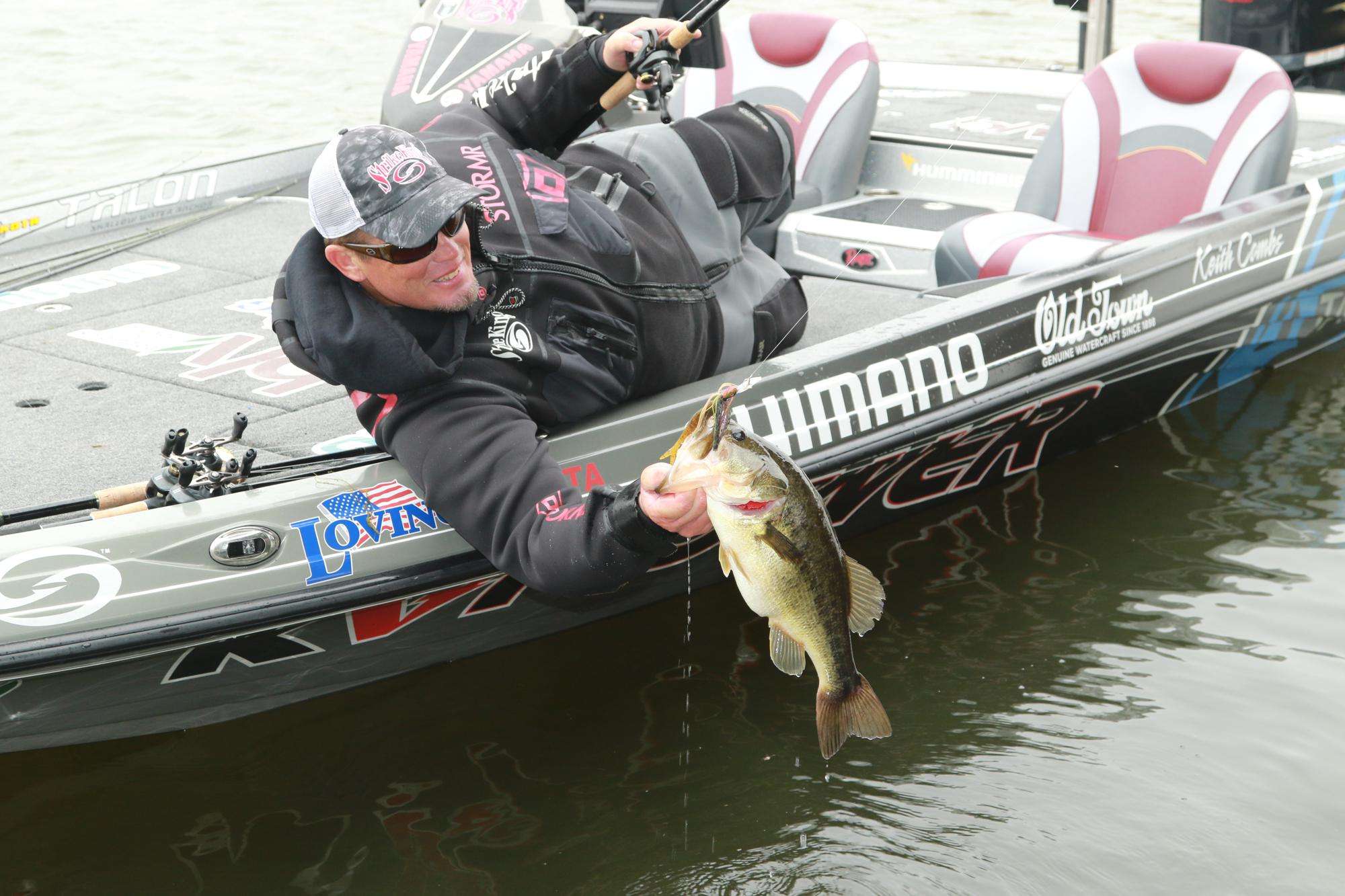 The bladed jig is a solid choice for active fish, particularly in the prespawn.