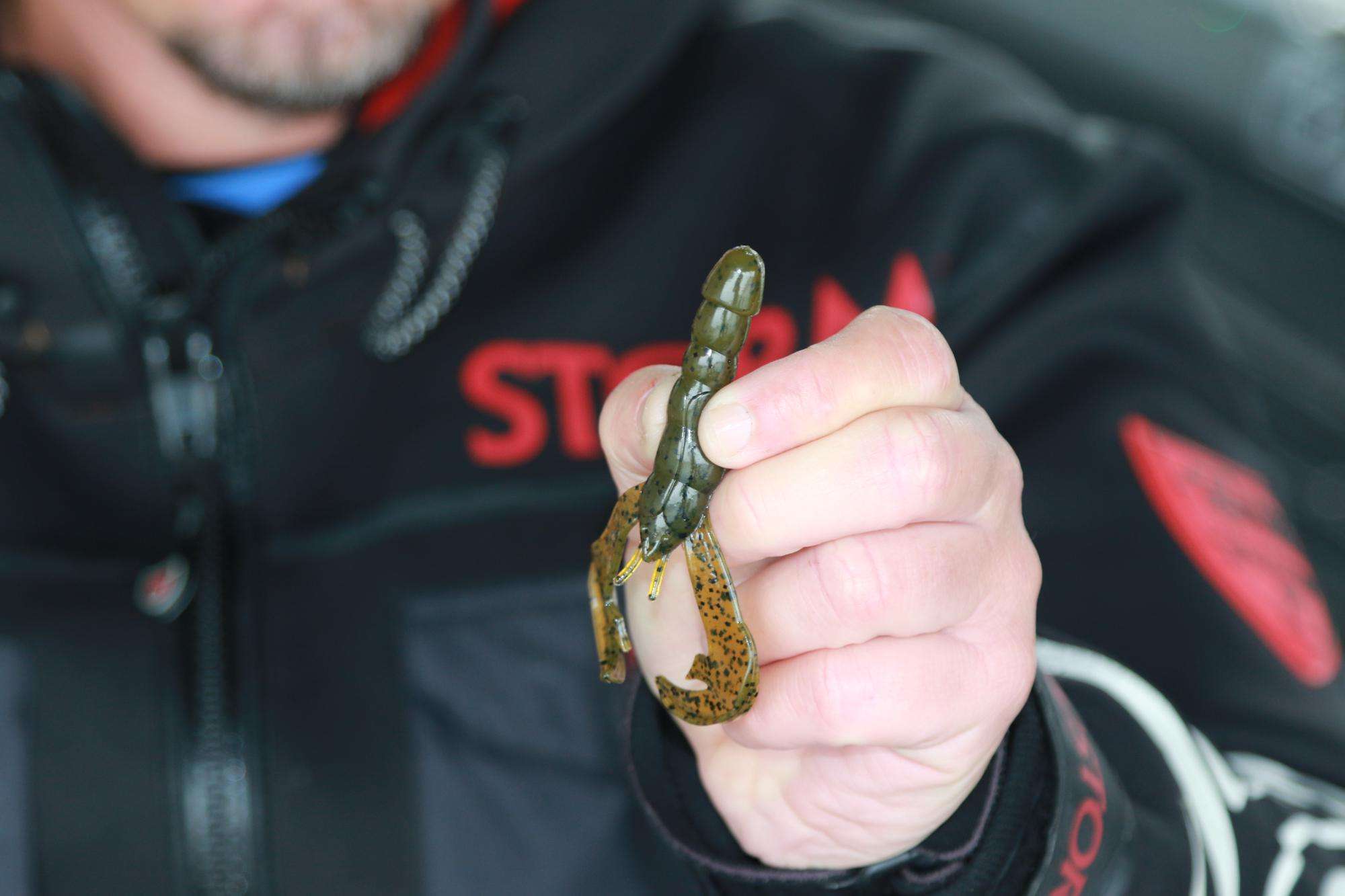 Across the board, he relies on the Rage Craw profile for the majority of his jig work.