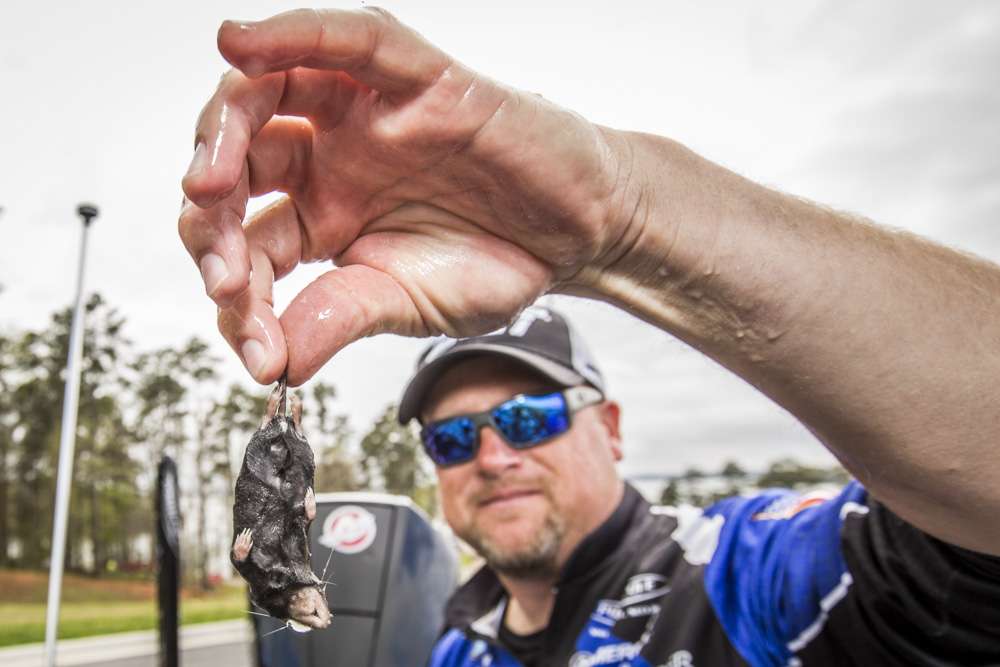 No doubt we will see mole-lures at ICAST this year. 