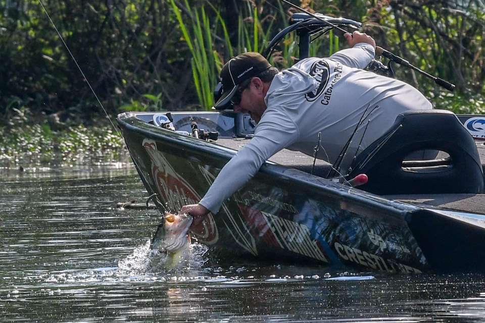 Most everyone betted on the come for postspawn largemouth to show up on Lake Chickamaugaâs signature river ledges at the Basspro.com Bassmaster Eastern Open. Just about everyone but one man. 
<p>
<em>All captions: Craig Lamb</em>

