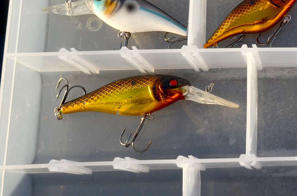 The No. 7 Bad Shad joins the other lures in the box.