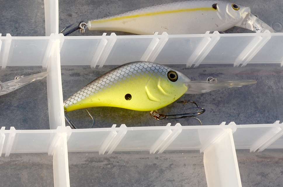 Another long slot in the tacklebox is needed to make space for the long-billed Dredger 20.5.