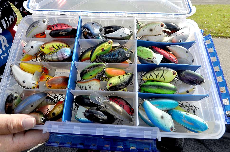 Most of these crankbaits are square bills, which Lowen heavily relies on.
