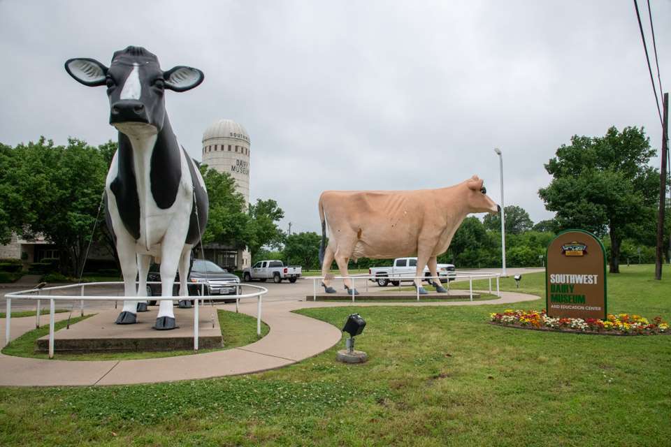 Just down the road from downtown Sulphur Springs is the fascinating Southwest Dairy Museum. You can take photos next to the two huge dairy cow statues before going into the museum, which is designed to resemble on old dairy barn.
