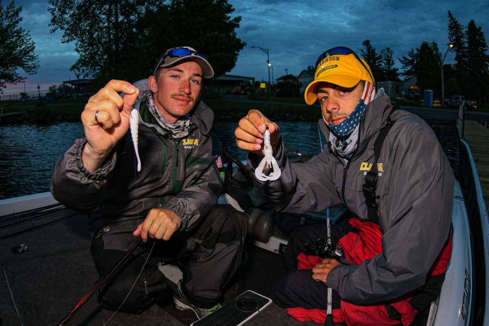 Clarkson University - Ben Seaman and Dante Piraino have been dropshotting a Gajo Spirit Shad and following with a Craw on a shakey head. Notice the white colors which allows them to see the baits when sight fishing.