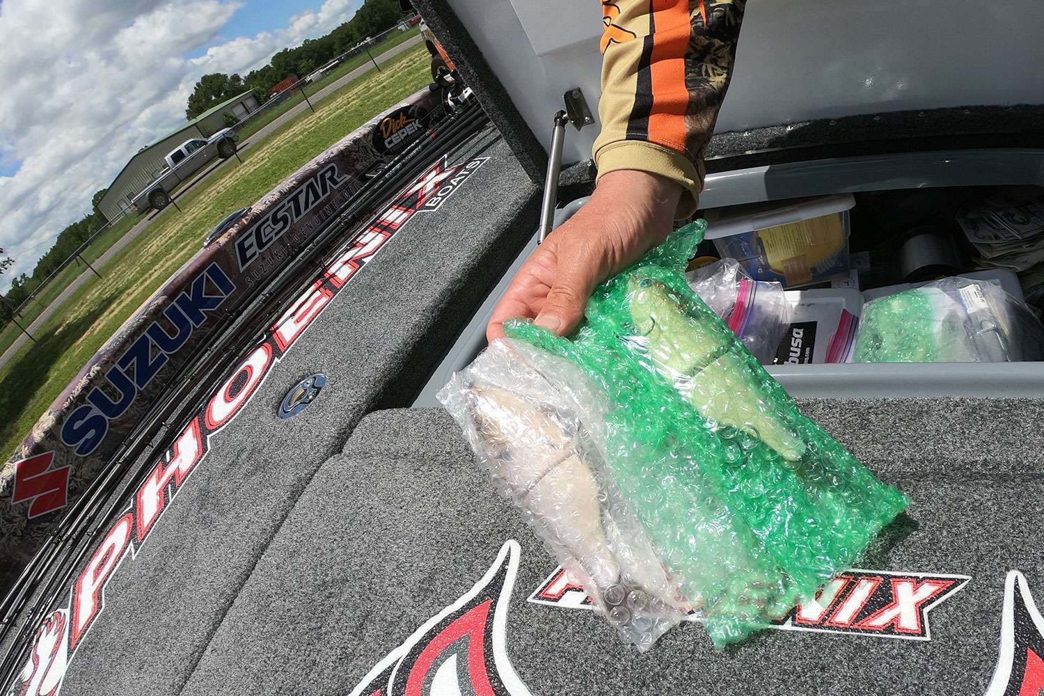 Here's a closer, yet limited look at these baits. He said they were custom swimbaits, expensive custom swimbaits. 