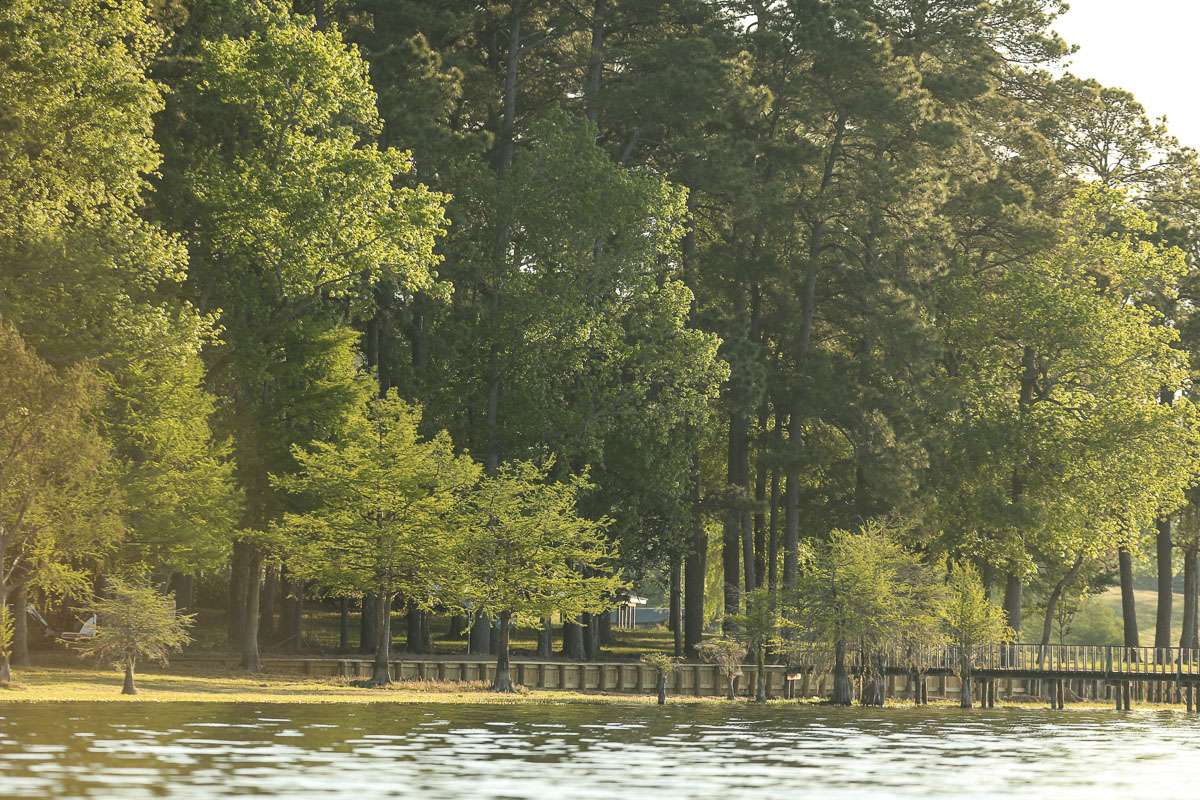 <h4>4. Toledo Bend, Texas/Louisiana </h4> <i> [185,000 acres] </i><br><br> There were 49 double-digit bass logged into the Toledo Bend Lunker Bass Program in 2018, which is lower than normal. Regardless, Toledo Bend is still an exceptional fishery. At the Texas Bass Couples event on Feb. 3, the top team logged a winning weight just shy of 30 pounds. Then, on Feb. 16, the Bass Champs stop included a whopping 33.15-pound bag.