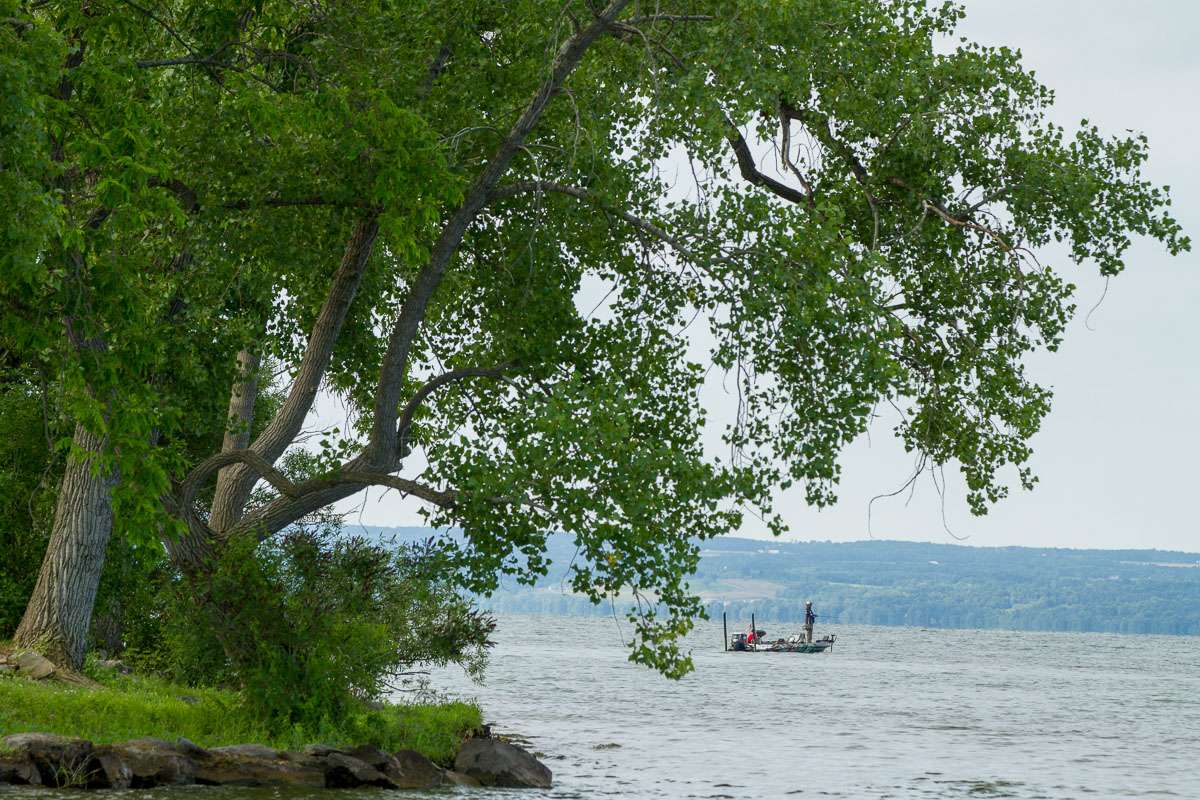 <h4>13. Cayuga Lake, New York </h4> <i> [38 miles long, 3 1/2 miles wide] </i><br><br> Besides good numbers of largemouth and smallmouth bass, this deep lake supports a popular trout fishery. The smallmouth fishing is at its best when the brown ones move shallow in spring to spawn. Largemouth thrive in the grassbeds that rim the lake and yield good fishing throughout the season. It took 20 pounds, 2 ounces, to win a one-day college tournament here in late July 2018. In late August of the same year, it took 22.67 pounds to win a Rochester Bass Anglers event.
