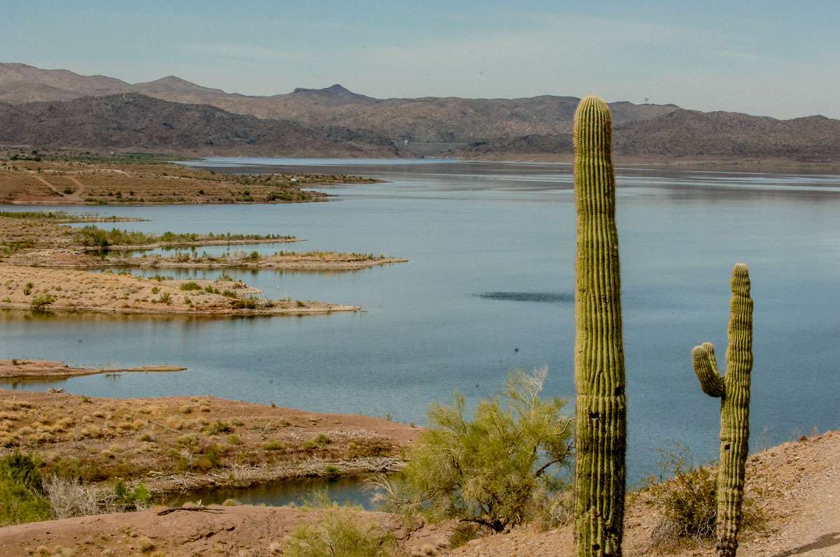 <h4>13. Alamo Lake, Arizona </h4> <i> [4,900 acres] </i><br><br> This Bill Williams River impoundment is known for its Sonoran Desert landscape, ultra-clear waters and an outstanding largemouth fishery. While the fishing can be tough due to water-level fluctuations, quality bass are plentiful when conditions are right. And despite fears of the negative effects of a large drawdown in 2018, there is plenty of water and fish this year. Five bass for 22.89 pounds won a Midweek Bass Anglers event in March. Big fish at that one was 6.59. 
