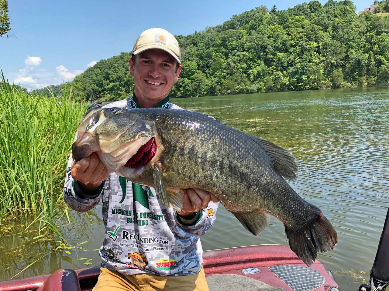 Riley Welch of Michigan State fished alone because his regular partner had a new career obligation, so Welch landed this 9 pound 15 ounce mega toad by himself. 