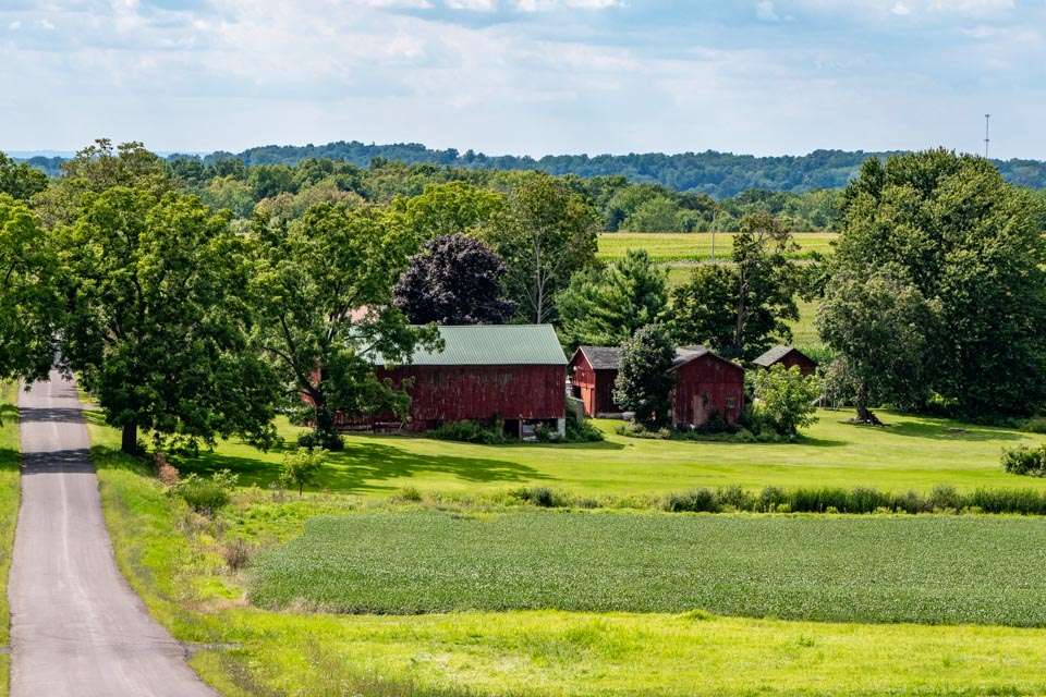 Upstate New York is farm country, so there are old barns everywhere.