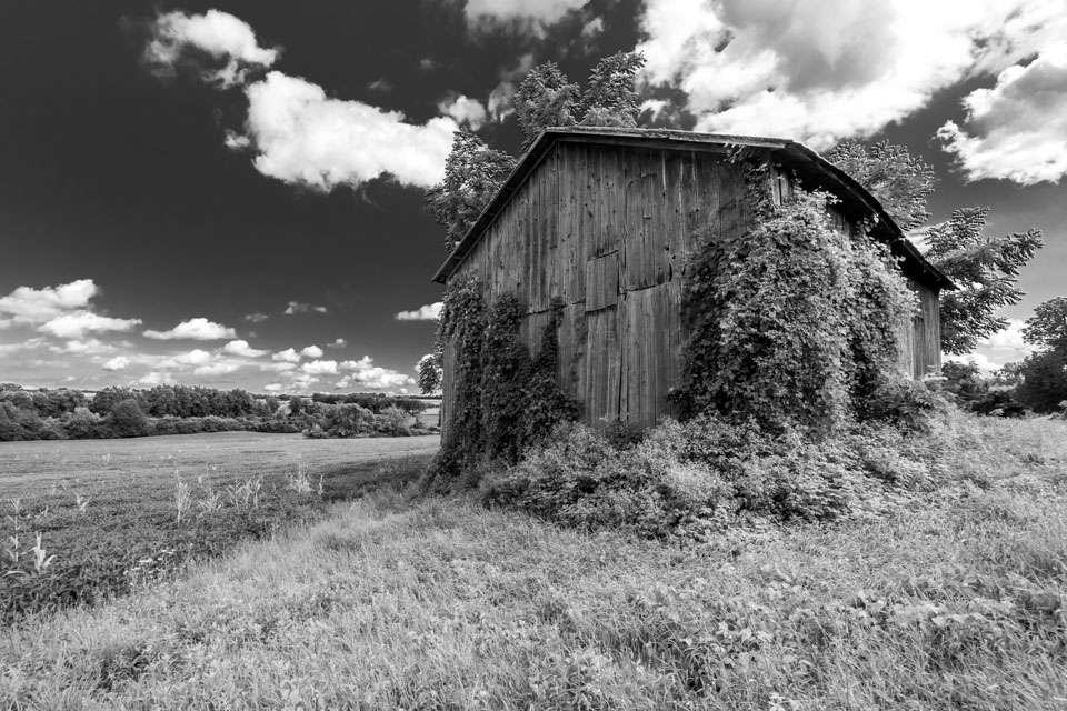 If you love old barns youâll definitely enjoy traveling through the area. While there are many mega farms now, family farms still are common and the original old barns dot the countryside.
