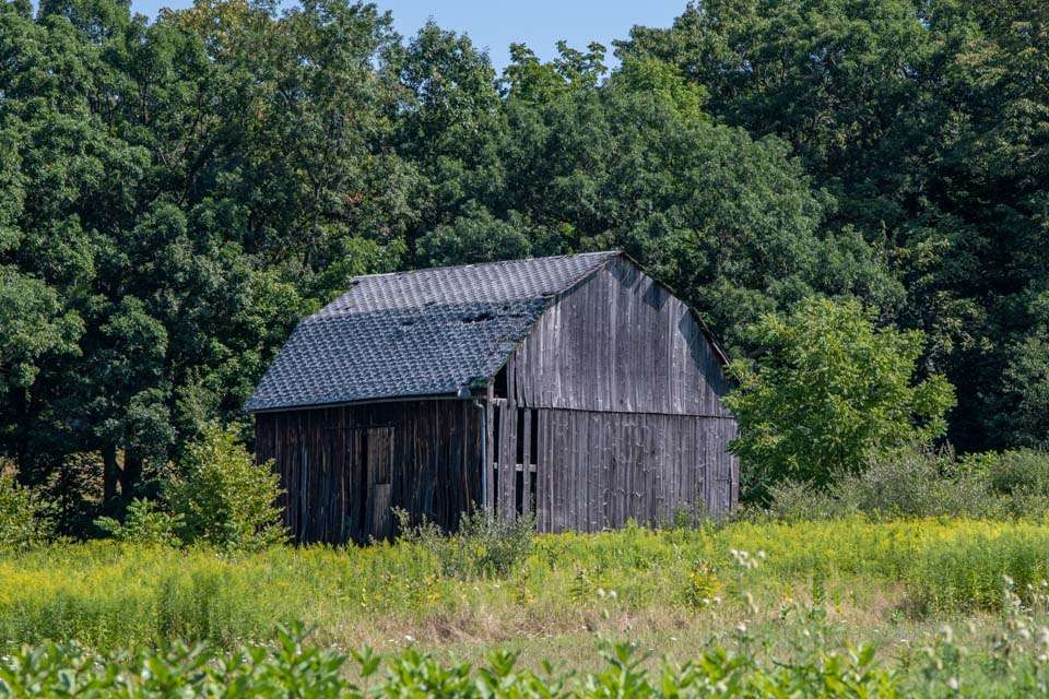 Did I mention there are tons of cool old barns?