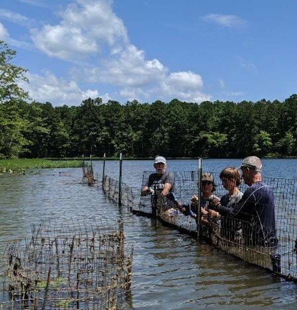 This project was coordinated with the North Carolina Wildlife Commission, Lake Gaston Association, North Carolina State Aquatic Plant Management Program and the Lake Gaston Weed Council.  
