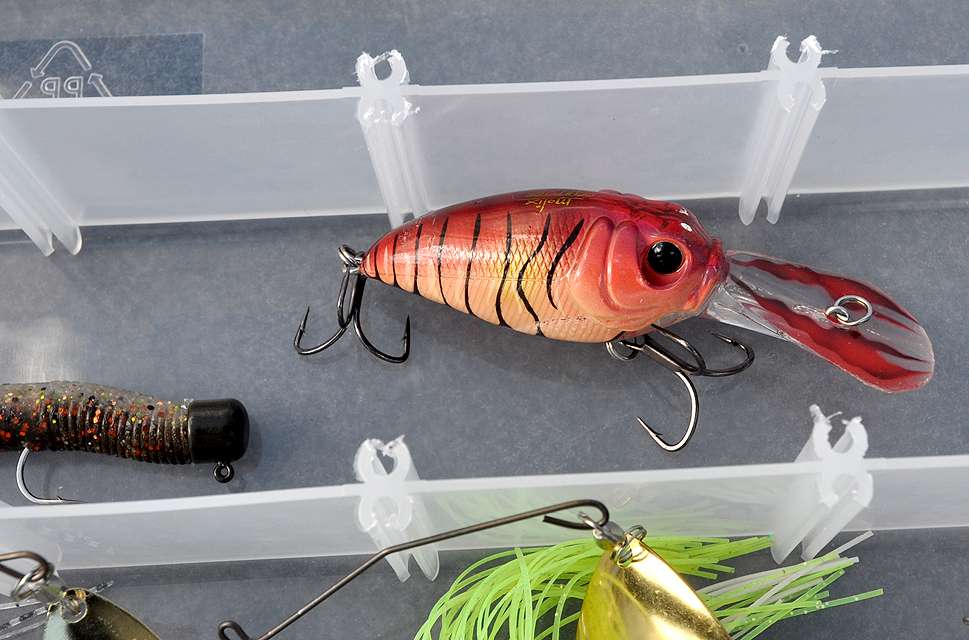 The Molix Custom Sculpo is placed in the beginnerâs tacklebox next to the Ned Rig.