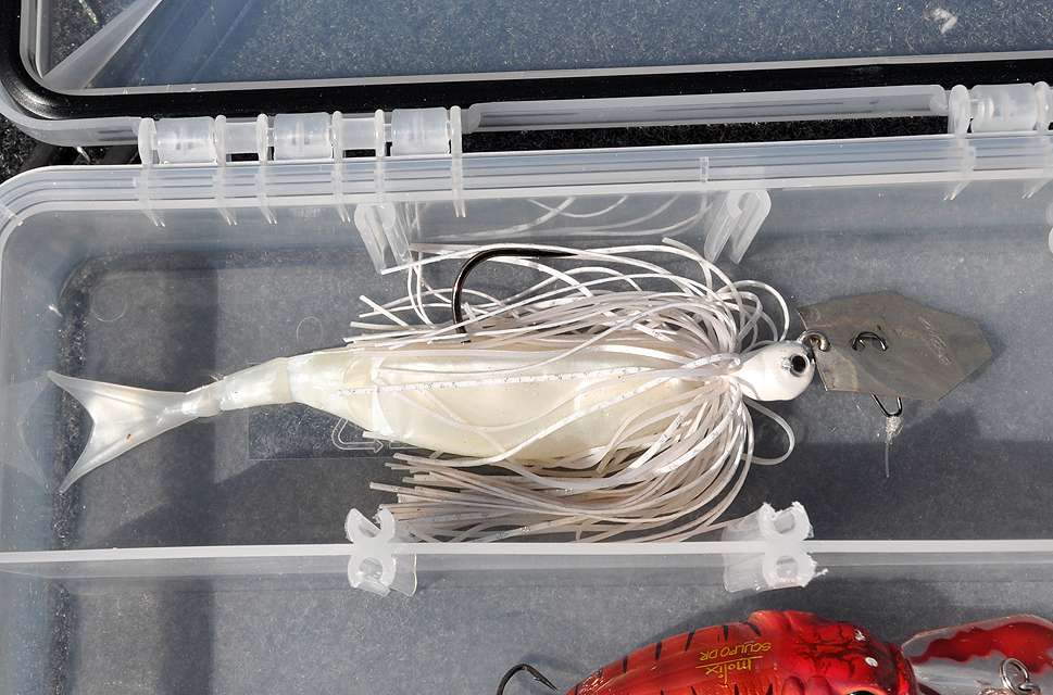 The Z-Man Chatterbait is looking good in the beginnerâs tacklebox.