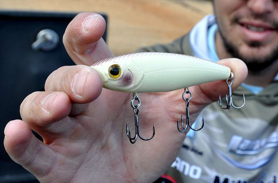 He nabs a sexy topwater walking bait, the 3/4-ounce Molix Topwater 110.</p>
<p>âThis is a great bait for a beginner,â Jocumsen said. âItâs easy to work and it has three trebles that keep fish on.â