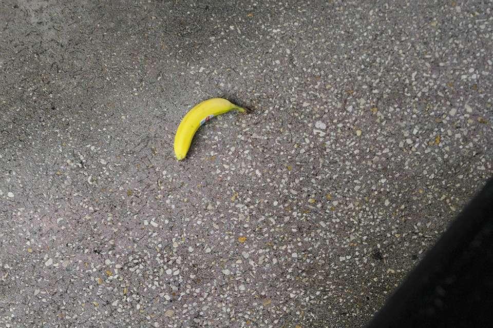 Sorry banana, no hard feelings.