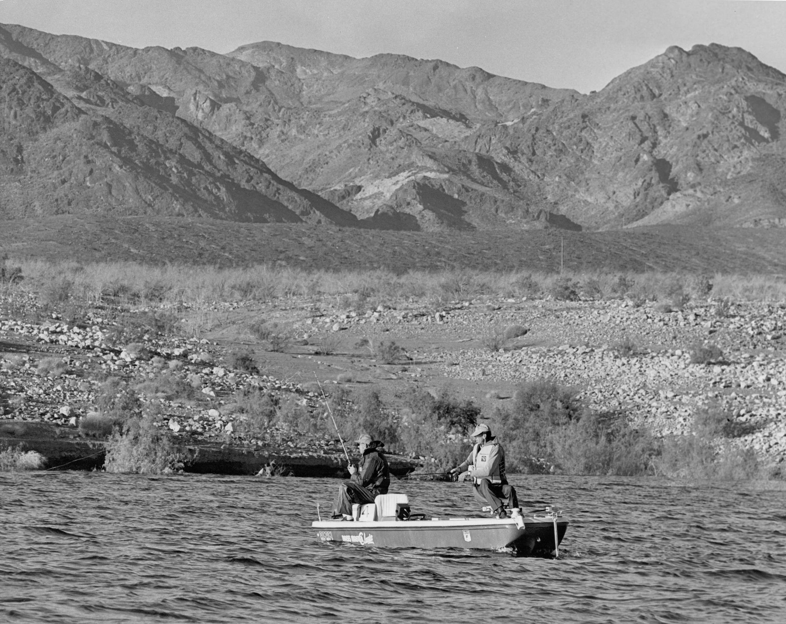 The rocky, rugged shoreline of Lake Mead was full of points and coves, and salt cedars and cattails ran the length of the coves.