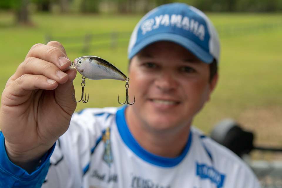 A natural shad-colored 1.5 squarebill is a must in the tacklebox because of its versatility. âThe color gives a natural bait presentation,â Hudnall said. âYou can work it around rocks and wood, and it gets a good reaction bite.â