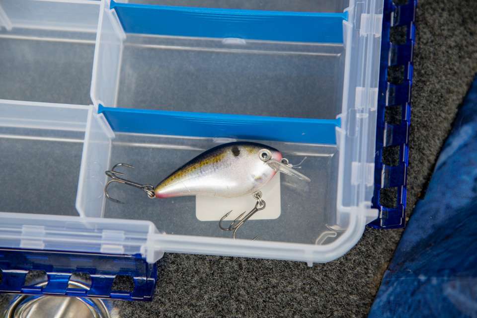 The shad-colored squarebill goes in the first compartment in the box.