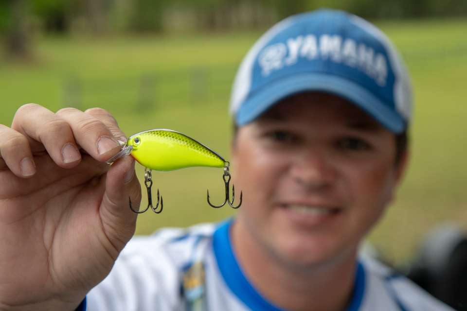 His second pick is just a color variant of the same lure. âThis is the same as the shad-colored squarebill, but itâs for stained-water situations,â Hudnall said of the chartreuse/black backed crankbait.