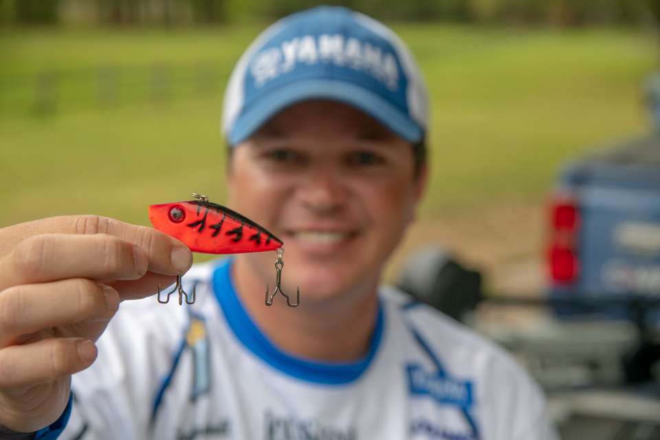 You just have to have a lipless crankbait in your arsenal, Hudnall said. âIt gives you the ability to cover all depth ranges,â he explained. âLipless crankbaits also come in a variety of noise levels, for dirtier or cleaner water. The more stained the water, the louder you want that rattle.â