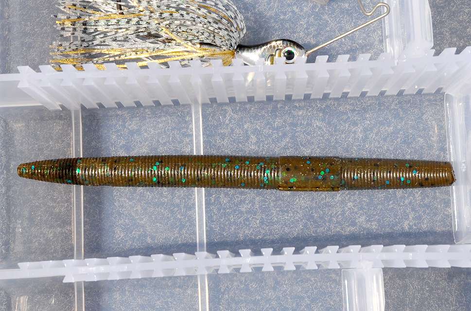 The Soft Super Salt Trick Stick is a must-have bait in Paquetteâs beginnerâs tacklebox.
