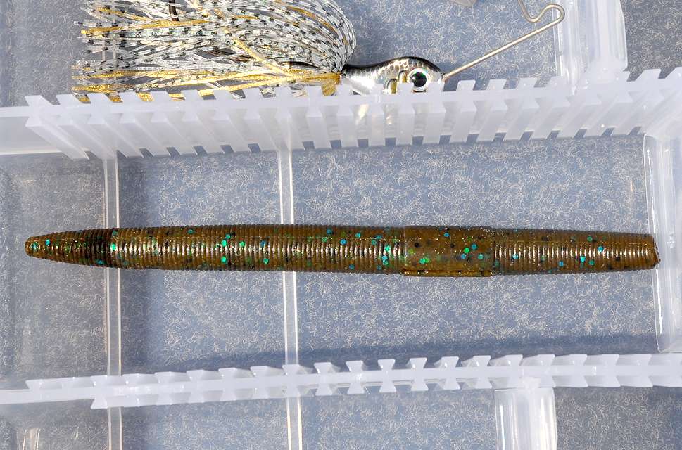 The Soft Super Salt Trick Stick is a must-have bait in Paquetteâs beginnerâs tacklebox.