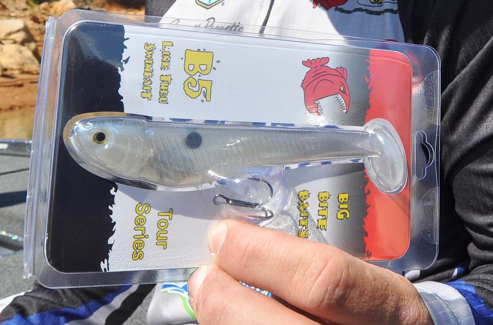The final bait Paquette chooses for the beginnerâs tacklebox is the B5 Line Thru Swimbait from Big Bite Baits.