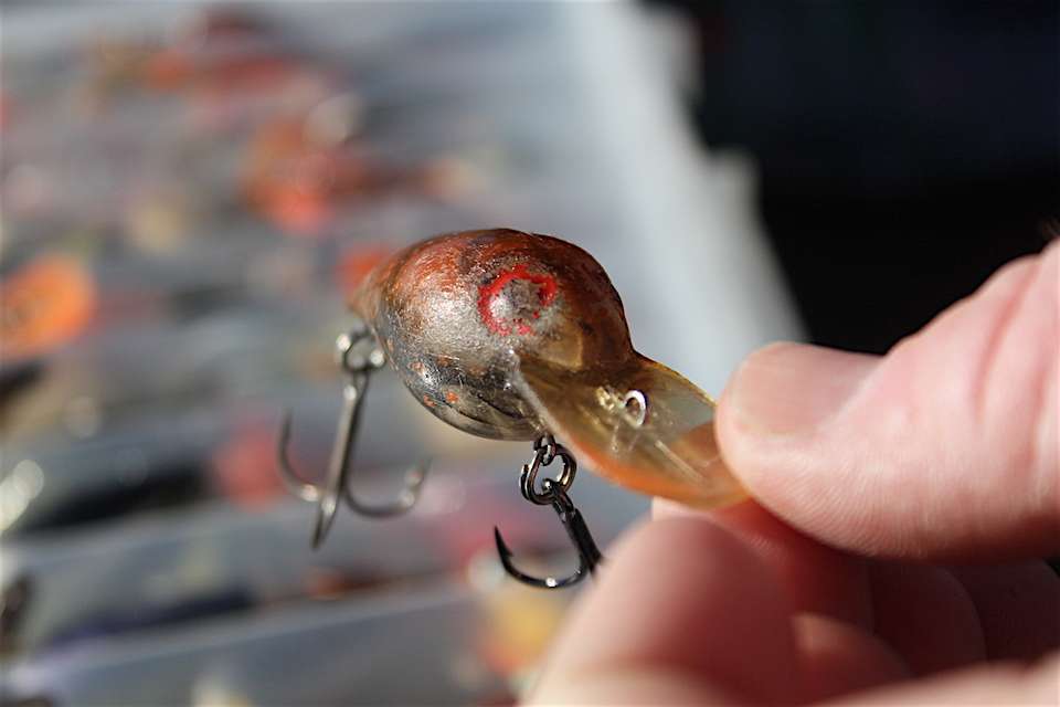 This Wiggle Wart has a particularly impressive past. âThis exact bait has won me close to $100,000.â