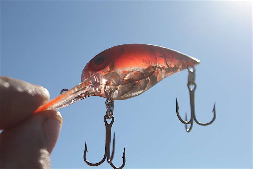 The translucent or âPhantomâ colors are among some of the most popular in the Wiggle Wart. 
