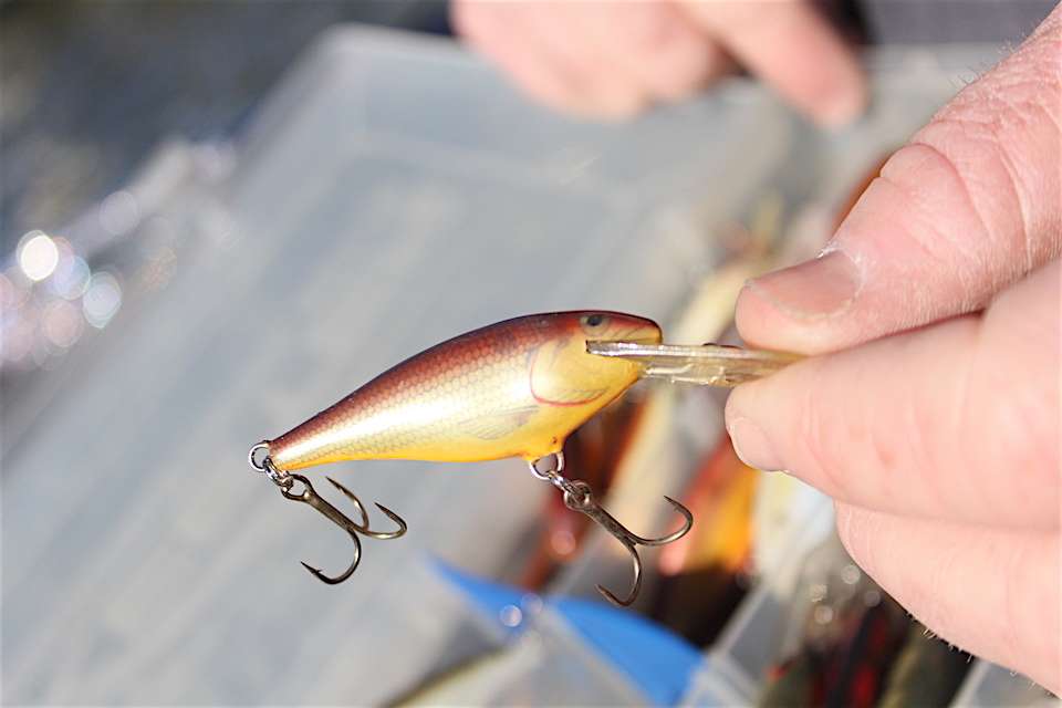 Many anglers prefer some of the older, more faded colors when it comes to Shad Raps. Colors that are no longer in production.