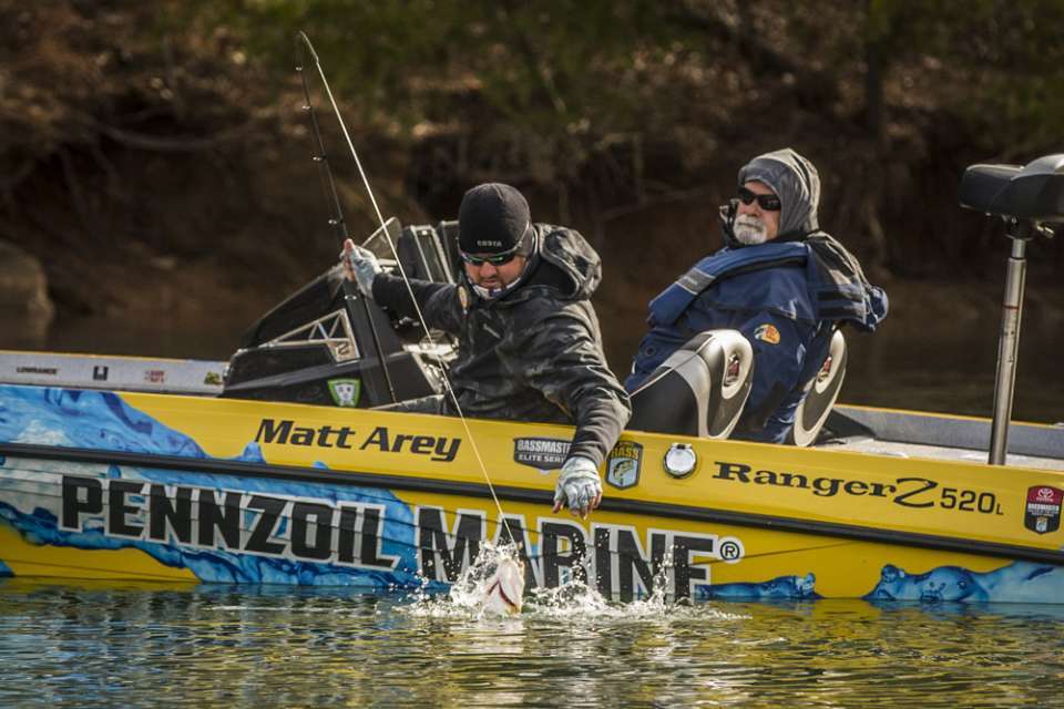 <b>Matt Arey<br> Shelby, N.C.<br> (12-1)<br></b>
Working in tandem with Canterbury, Arey finished third at last yearâs Elite Series event on Lake Guntersville. This is his first Classic appearance after winning almost $1 million on the FLW Tour. A deeper bite might suit him better.