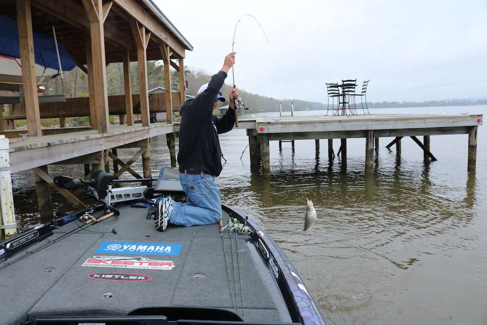 Of course, bass anglers don't always have patience for a net.