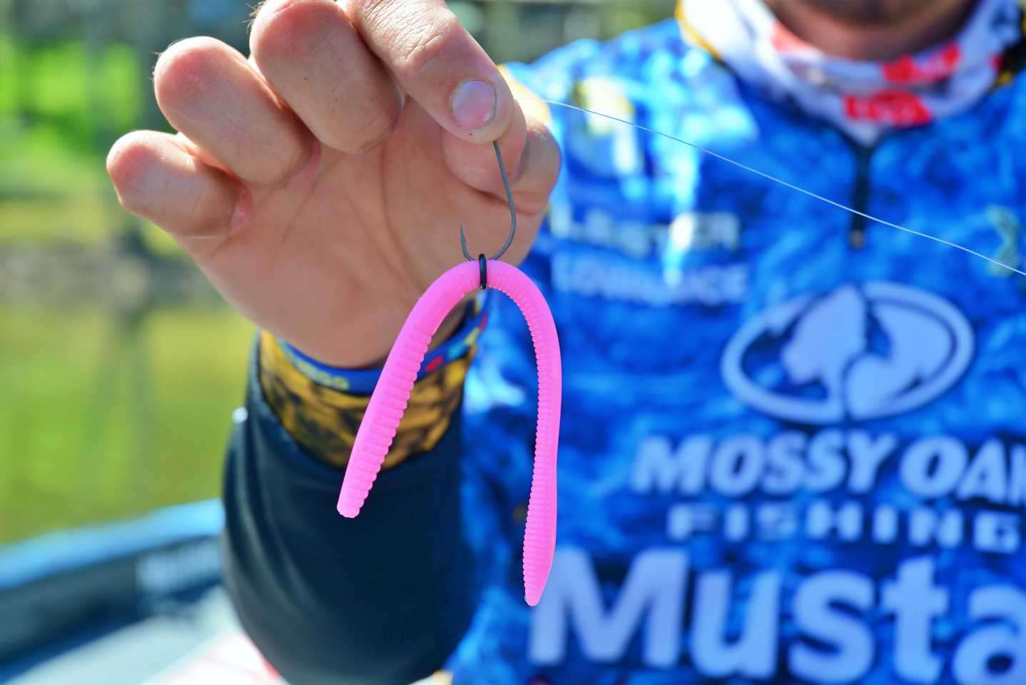 A 6-inch X Zone Lures Deception Worm, bubblegum, is rigged to a No. 9 Mustad TitanX Wacky/Neko Rig Hook. Lester adds a Size No. 9 O ring. âit gives it a better action and you donât go through so many worms.â 
