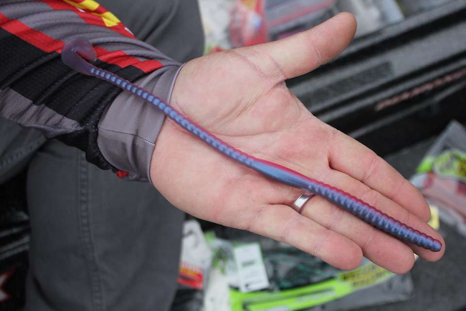 ... the Mister Twister Mag 12-inch Buzz Worm. âWhen Iâm fishing brush in the postspawn, Iâll always throw that big worm first to try to get the random big largemouth out and then Iâll go to a shaky head.â 